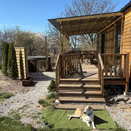 Tiny Beach House Heated And Airconditioned Wapnica  Экстерьер фото